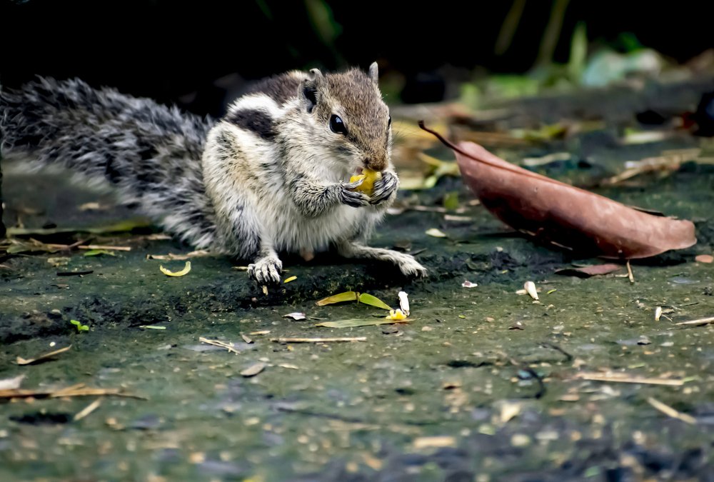 Photograph by Yukti Adhikary