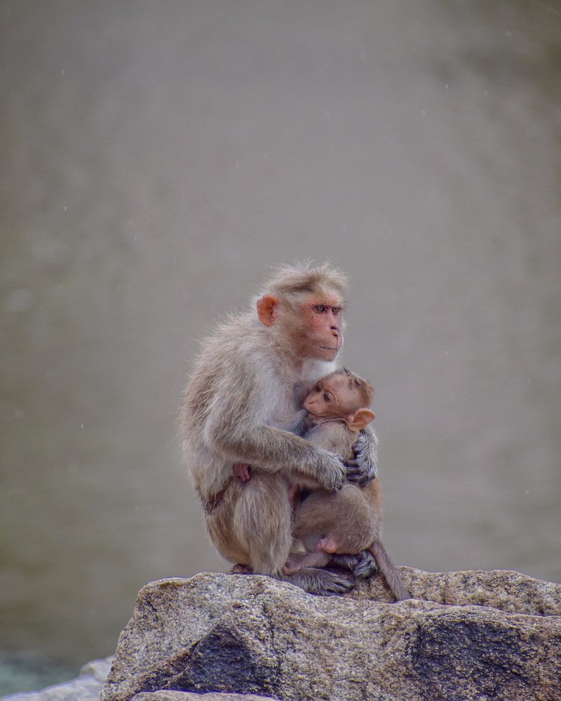 Photograph by Abhishek Kumar