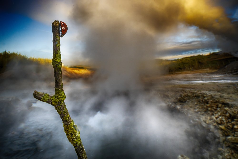 Photograph by FABIO SARTORI