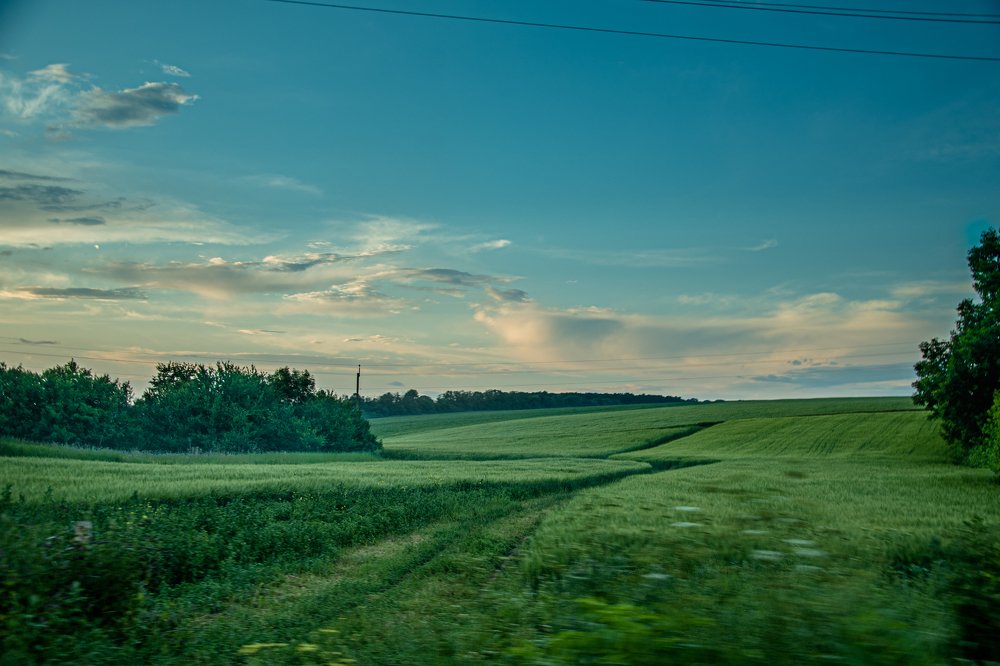 Photograph by Oksana Demyanets