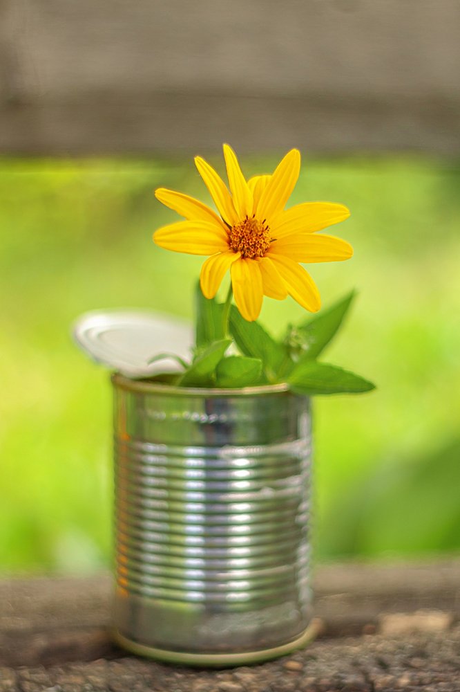 Фотография автора Валерий Елистратов