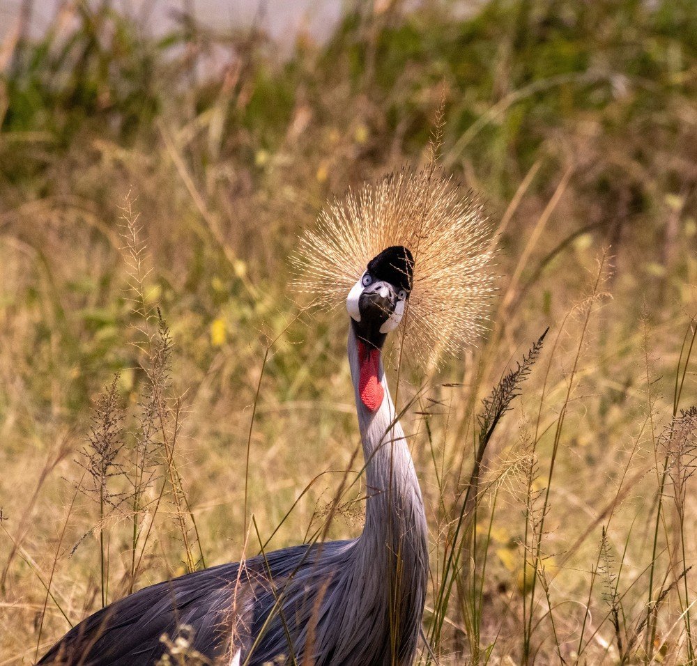 Photograph by Romi Haria