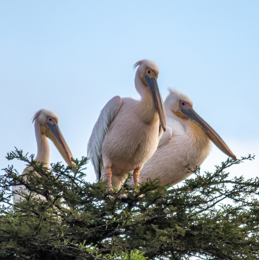 Photograph by Romi Haria