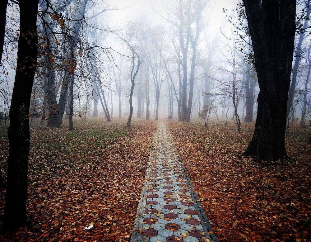 Тропинка в неизвестность.