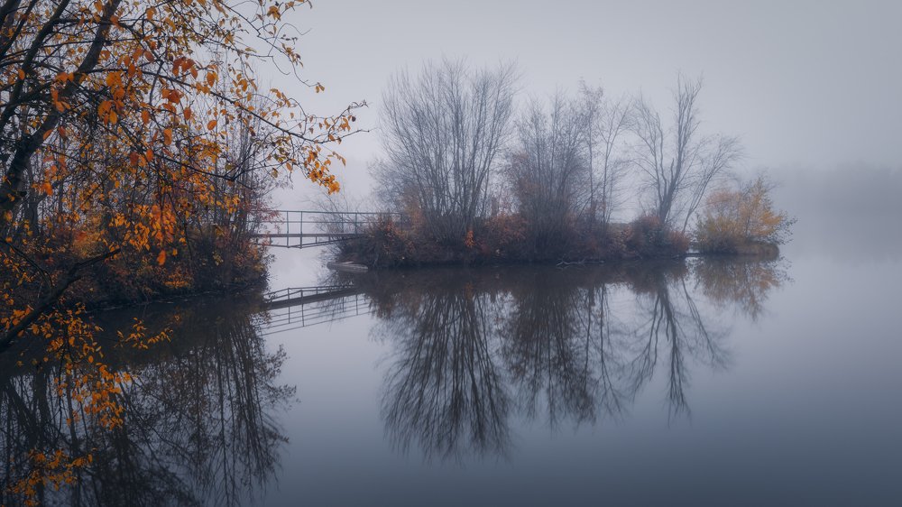 Photograph by Iris Lara