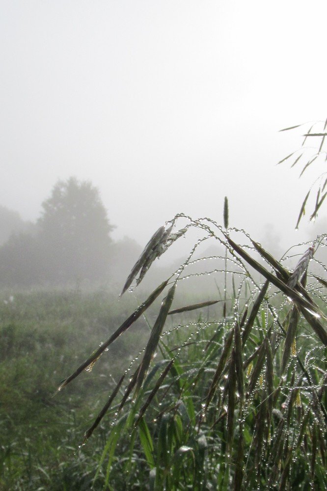 Photograph by сергей павлов