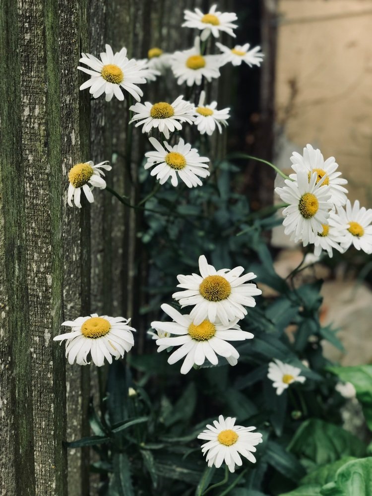 Photograph by Ольга Могдалёва