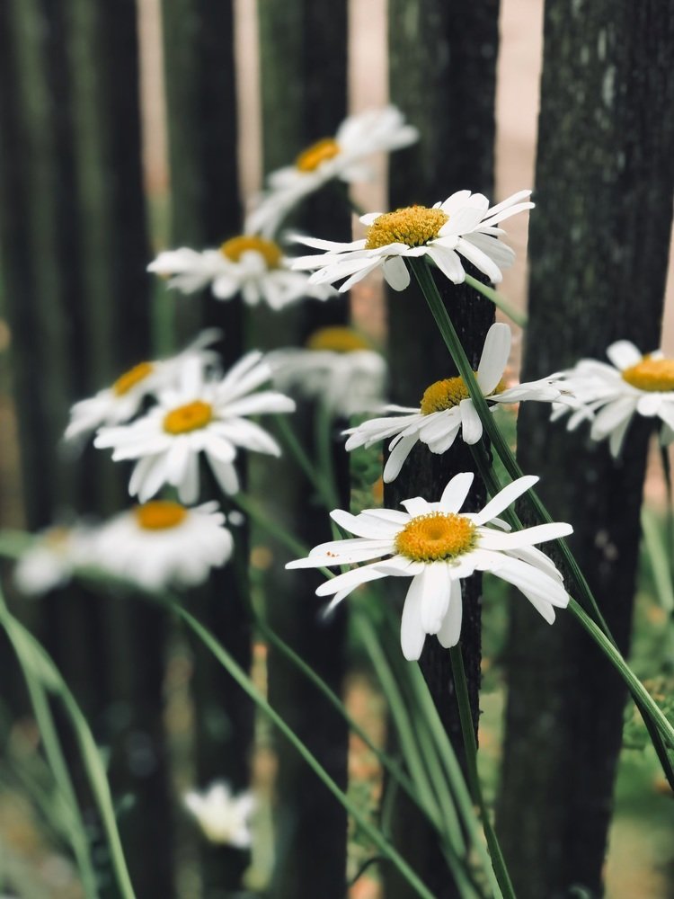 Photograph by Ольга Могдалёва