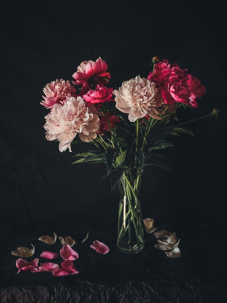 Photograph by Елизавета Лутцева