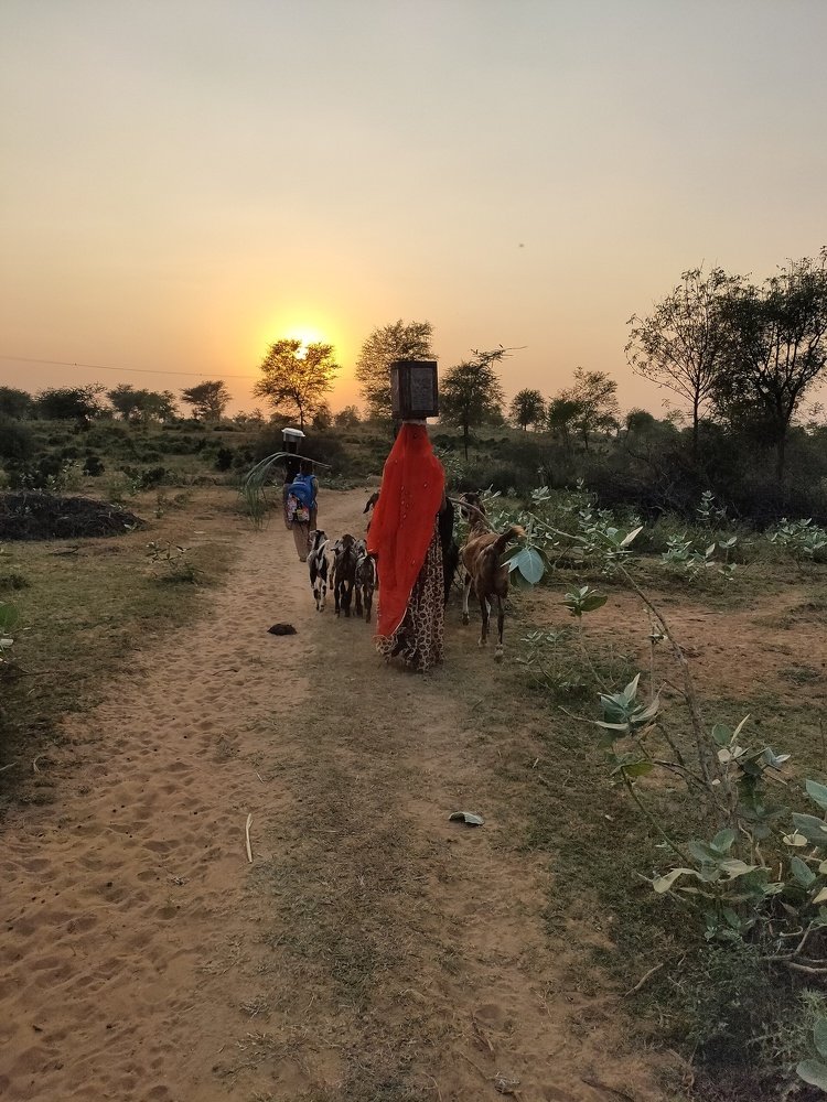 Photograph by Sonu kumar