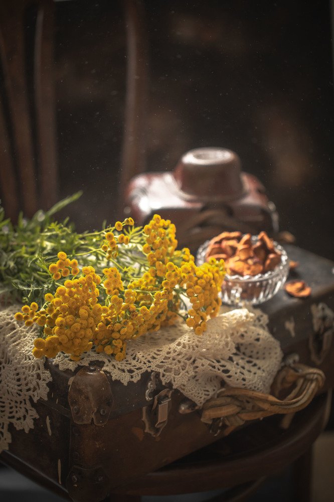 Фотография автора Мария Сурмачева