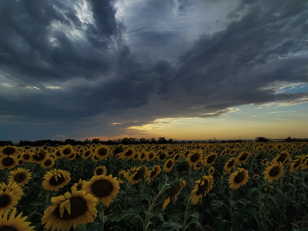 Фотография автора Наталья Алексеева