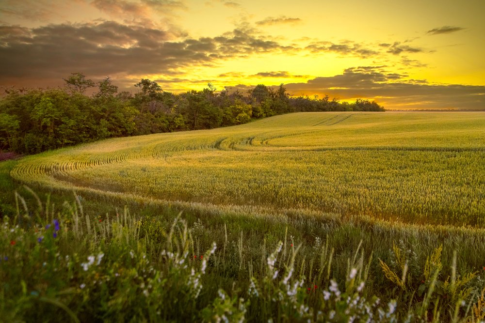 Photograph by Евгений Черкун