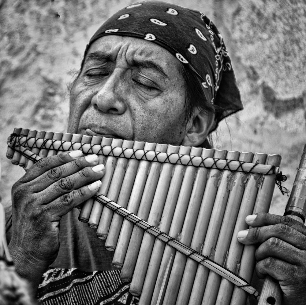 Photograph by Antoni Fiol