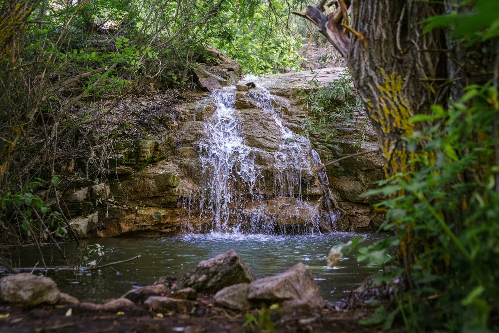 Photograph by Евгений Черкун