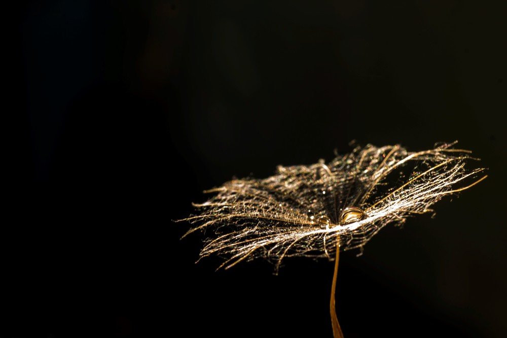 Photograph by Светлана Ковалёнок