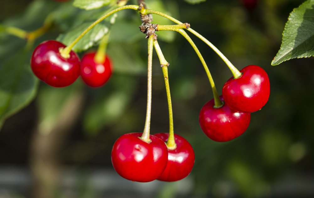 Photograph by Попел Ирина