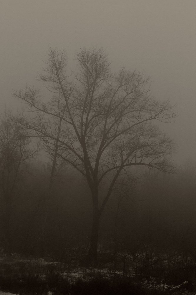 Фотография автора Ирина Баш