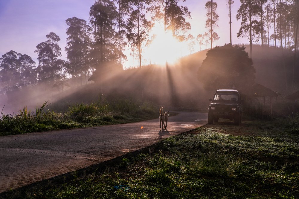 Photograph by Yoes Yusup