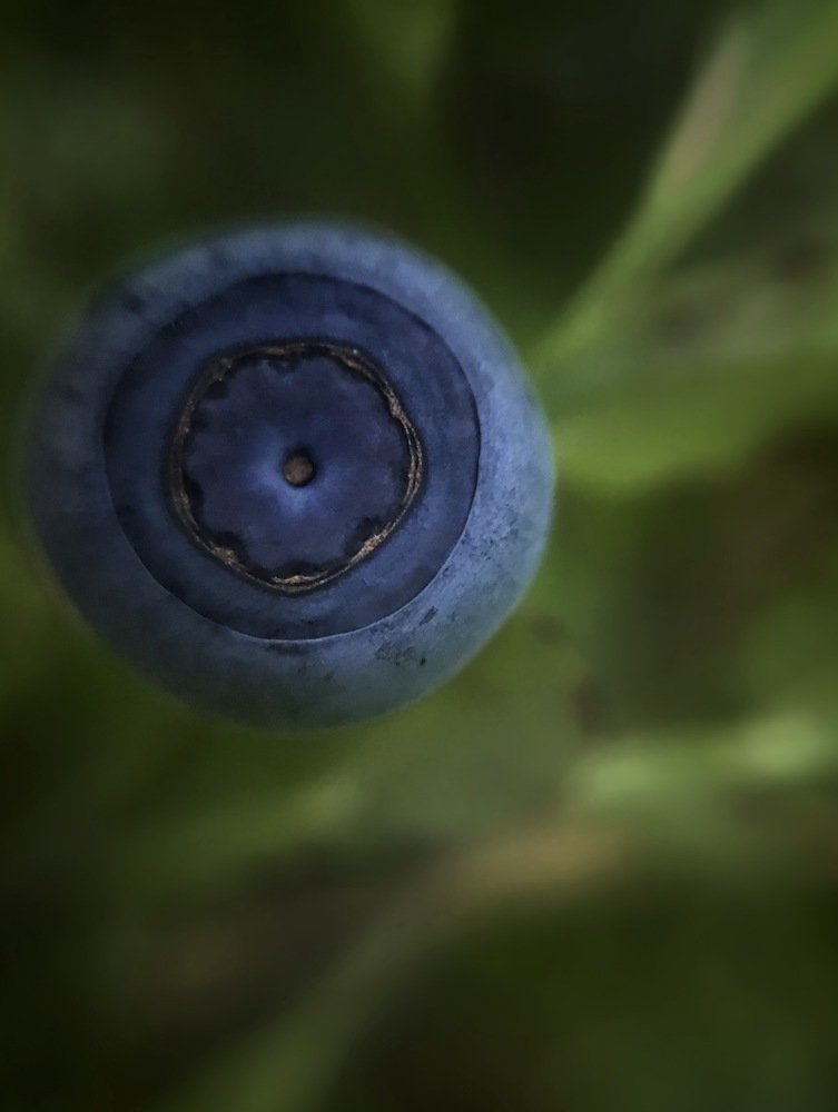 Photograph by Алина