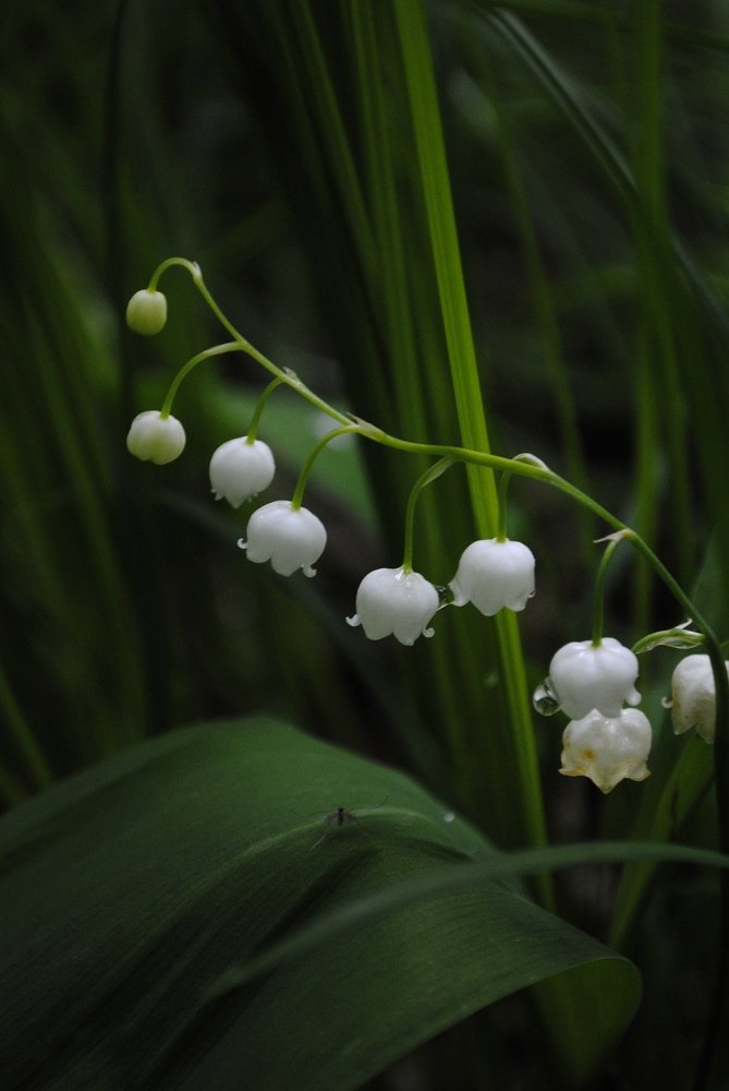 Photograph by Алина