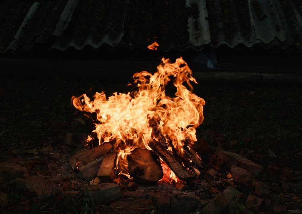 Photo #4815072