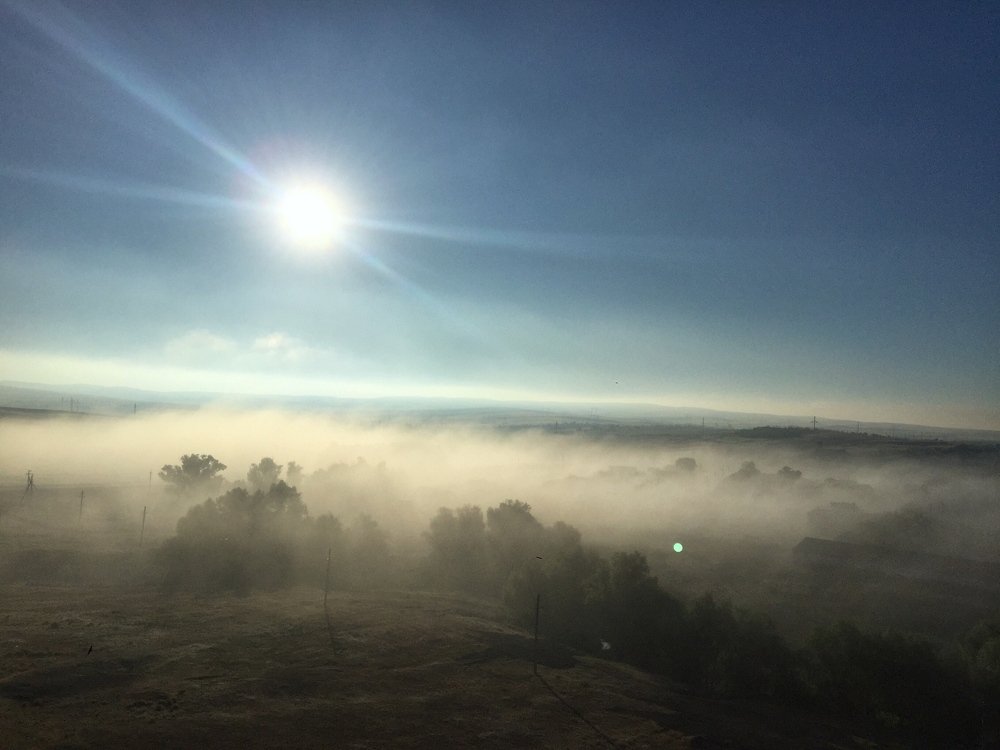 Photograph by Юлия Голубкова