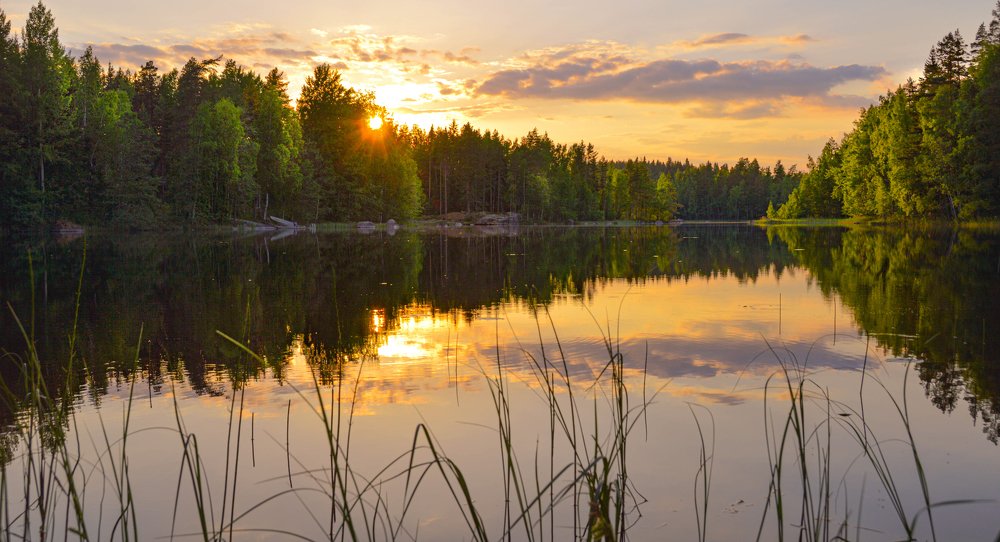 Photograph by Олег Менакер