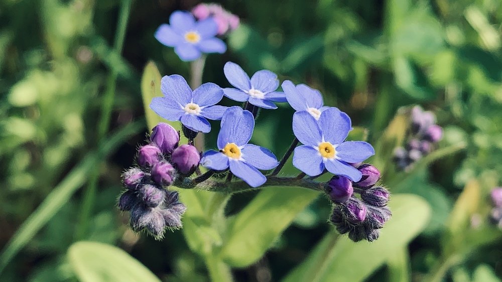 Photograph by Дмитрий Исаев