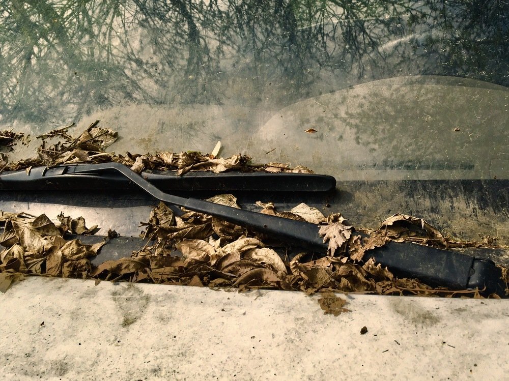 Photograph by Елена Ким