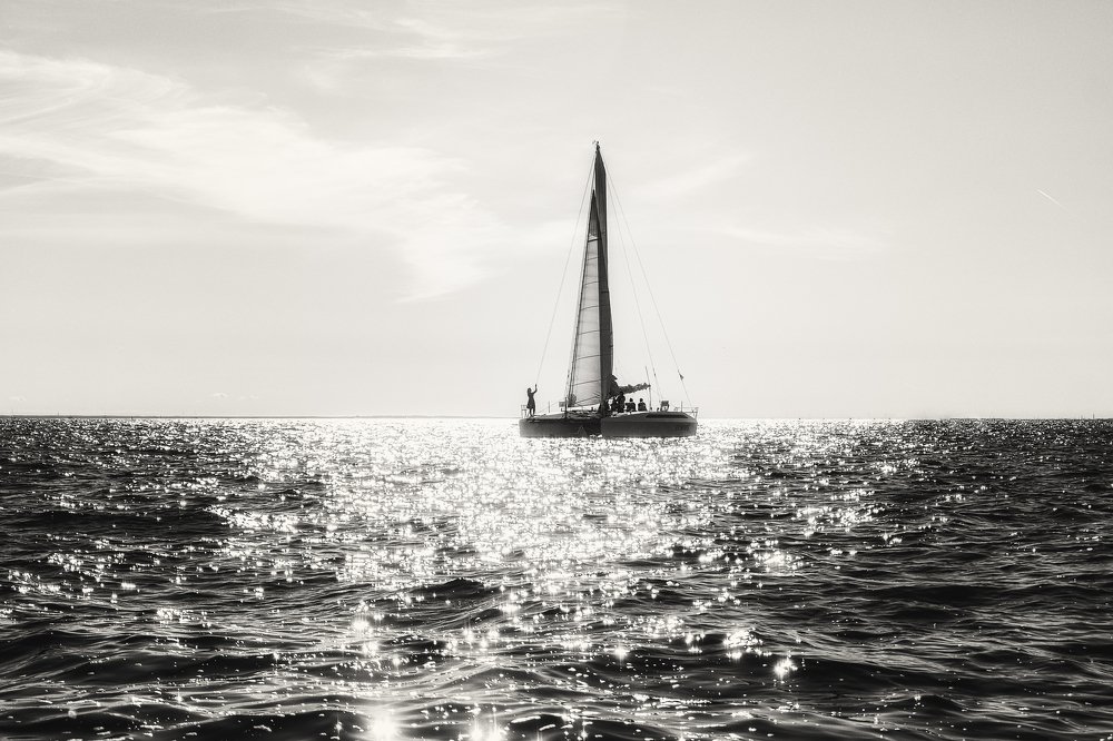 Photograph by Вавилова Елизавета