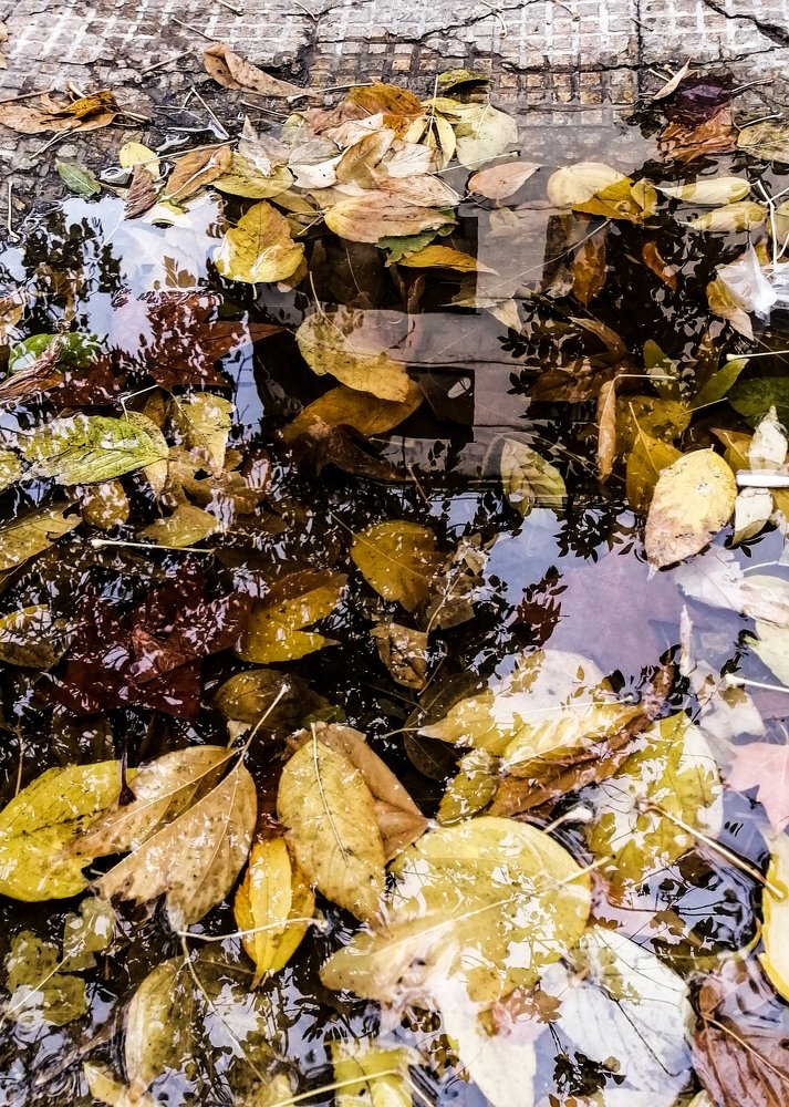 Photograph by Amal k Al Beqai