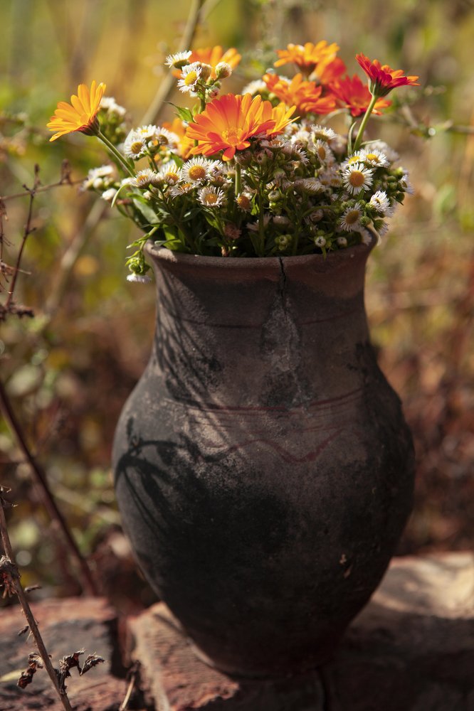 Фотография автора Юлия Капустинская