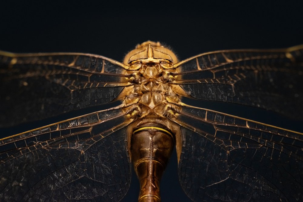 Photograph by Михаил Курихин