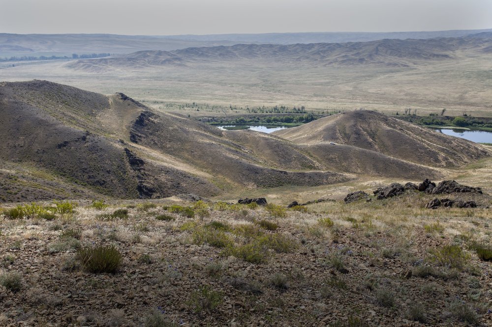 Photograph by петр чиков