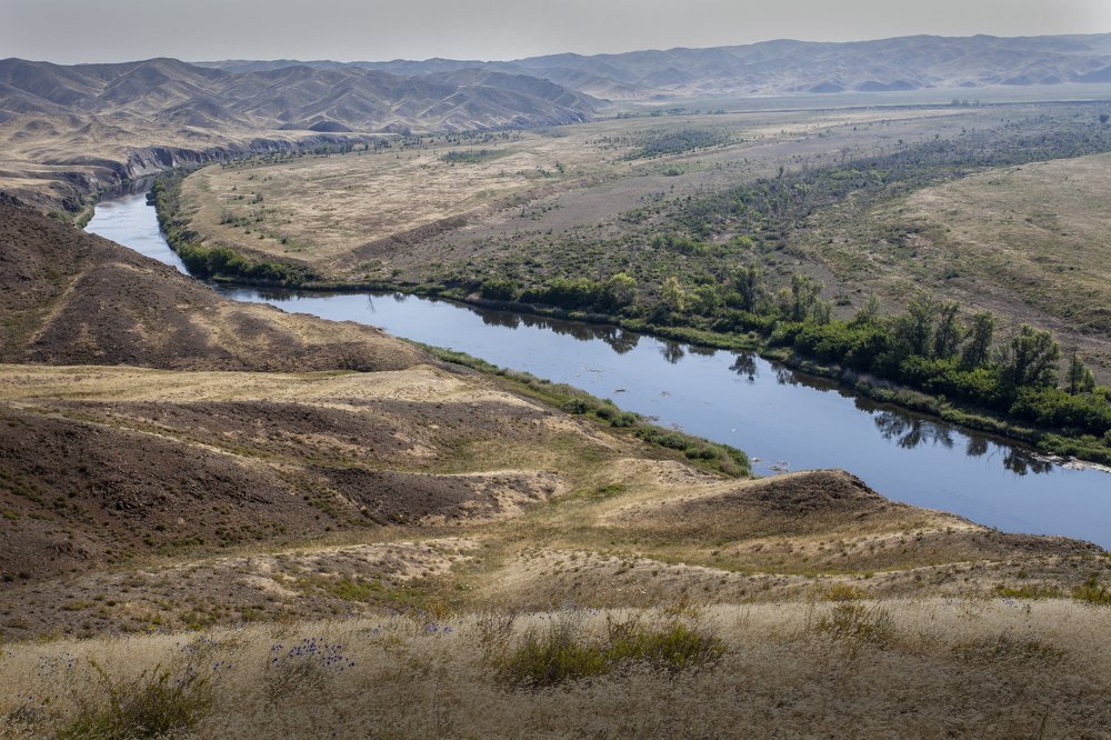 Photograph by петр чиков