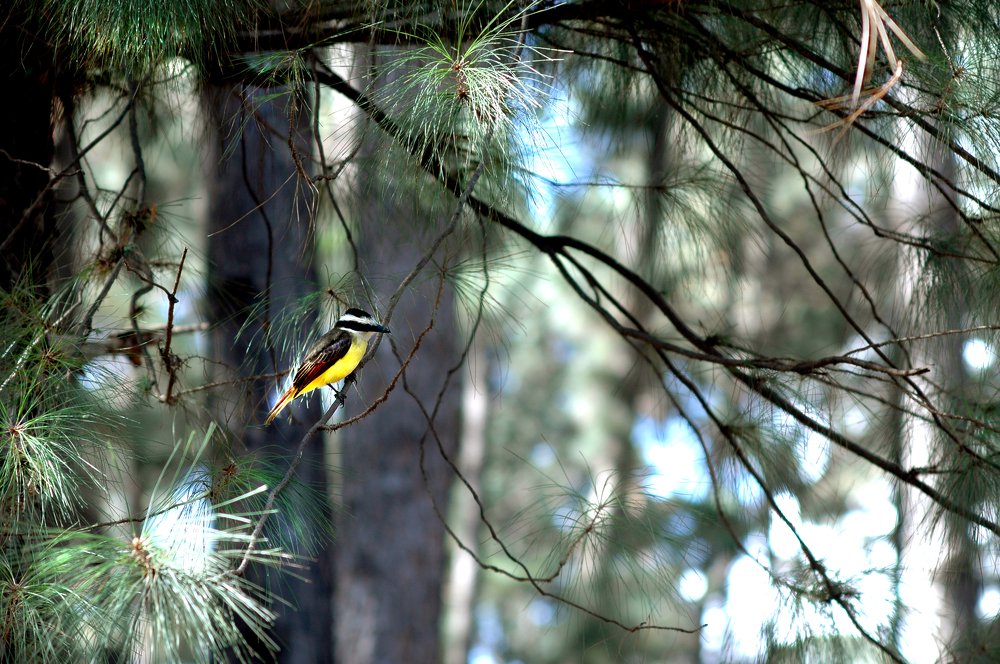 Photograph by Francisca Vilarinho Cardoso