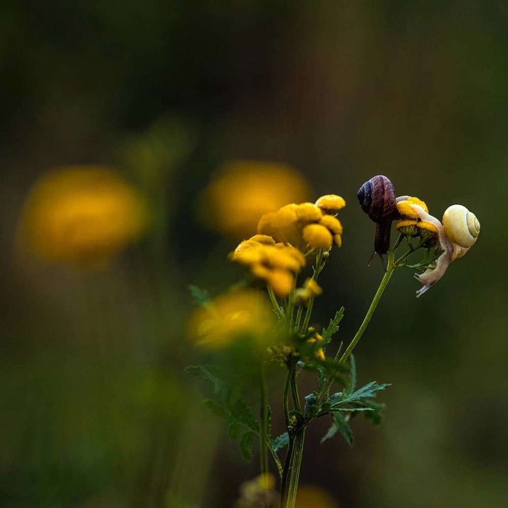 Photograph by Наталья Пагоцкая