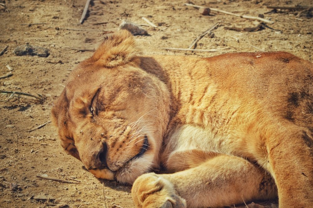 Photograph by Mohammad Rasheed