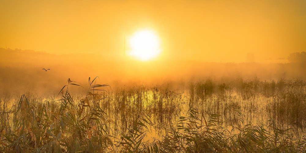 Рассвет на Челбасе