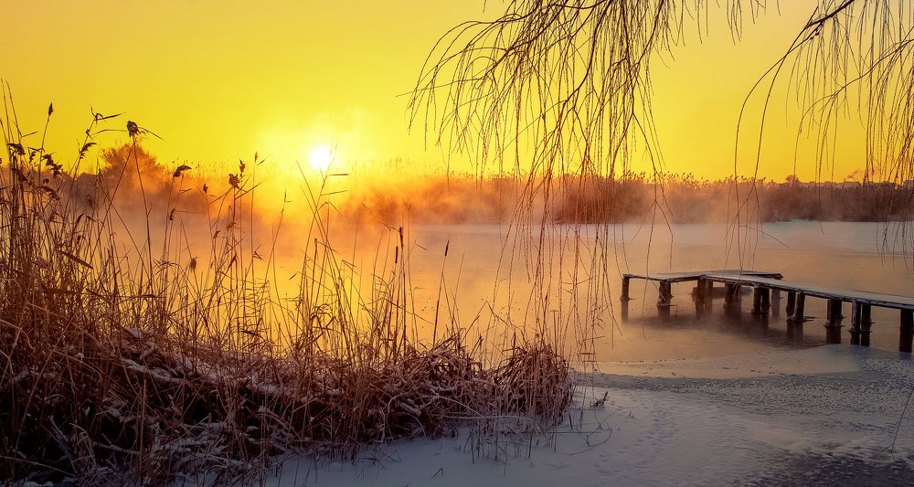 Бейсужек просыпается!...
