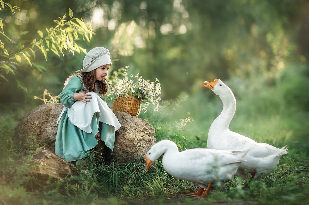 Беседа с гусями