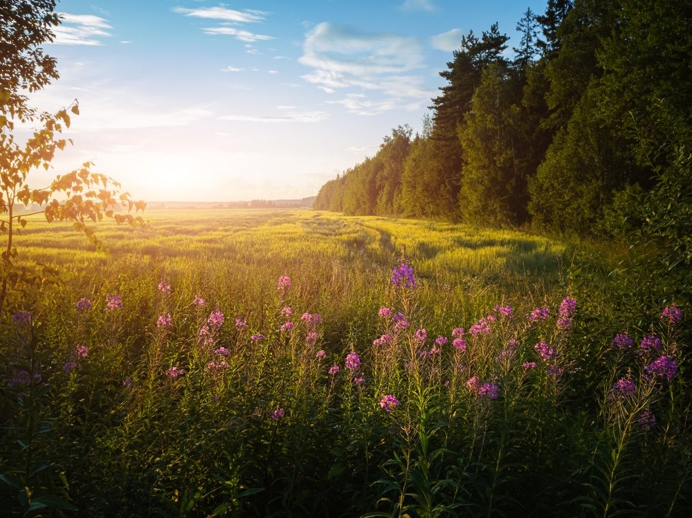 Photograph by Ольга