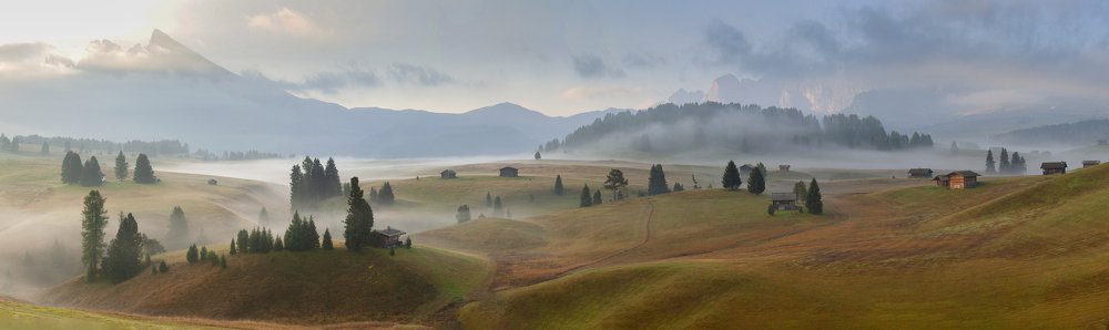 Photograph by Elena Turkov