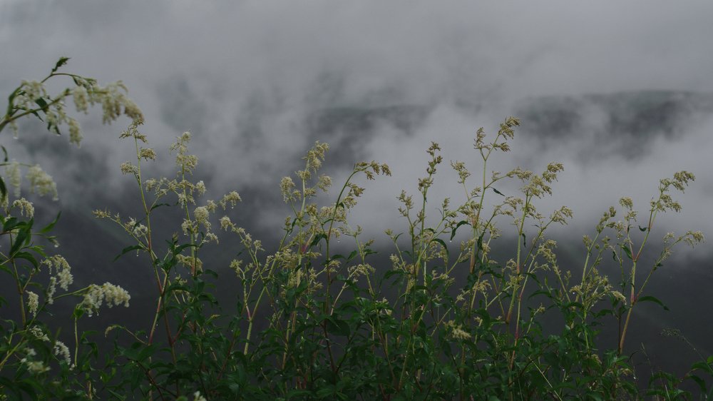 Photograph by Bogdan Lamanov