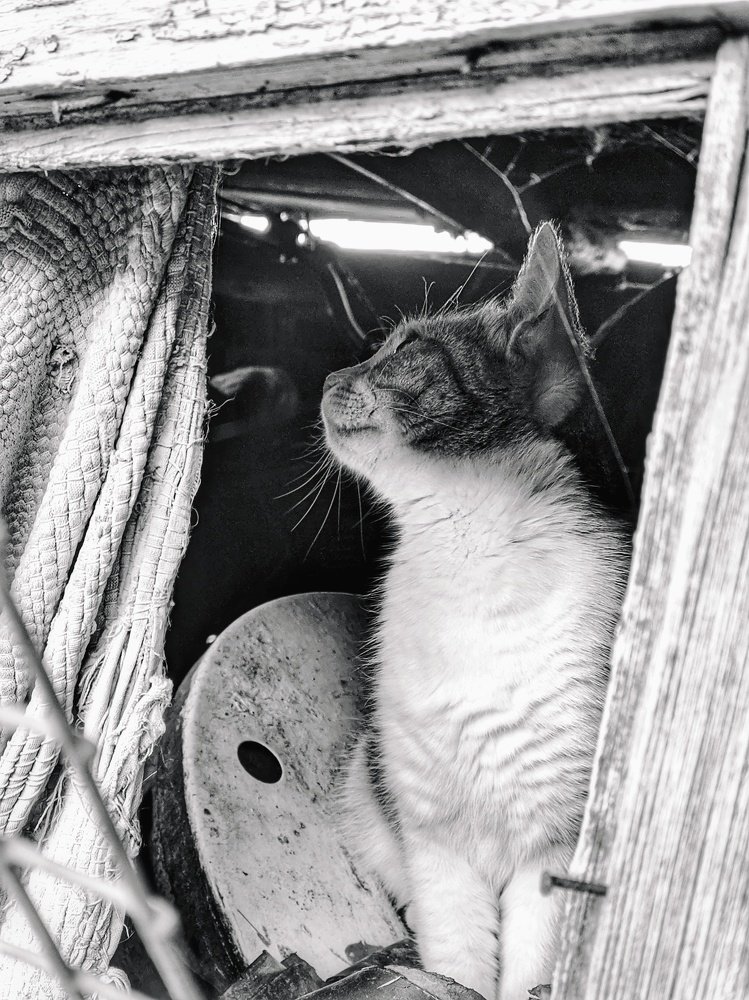 Photograph by Наталья Егорова