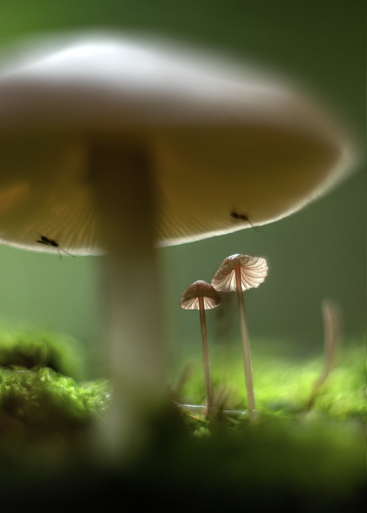 Photograph by Николай Андреев