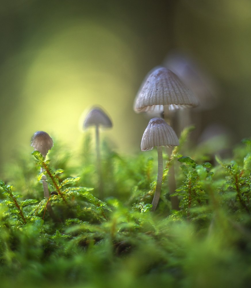 Photograph by Николай Андреев