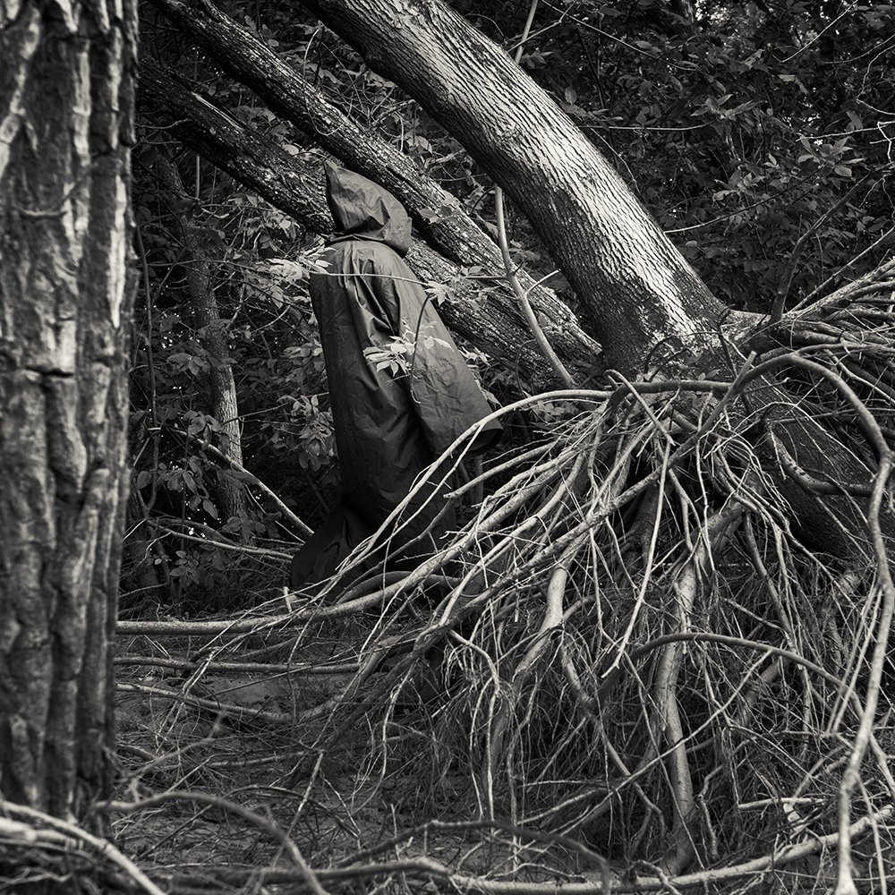 Photograph by Юрий Пузанов