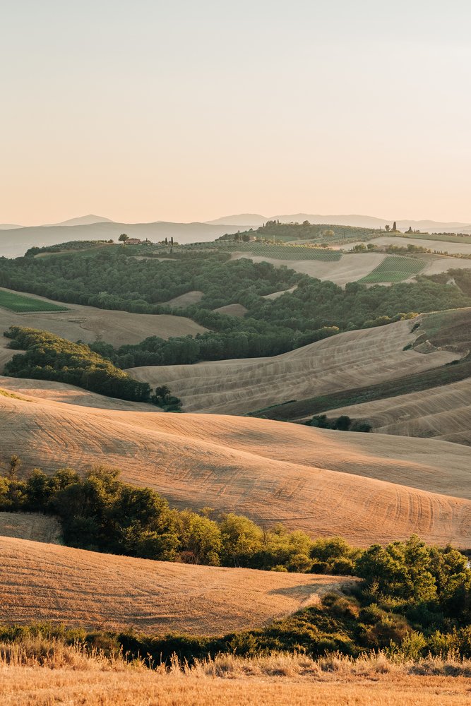 Summer in Tuscany, Crete Senesi